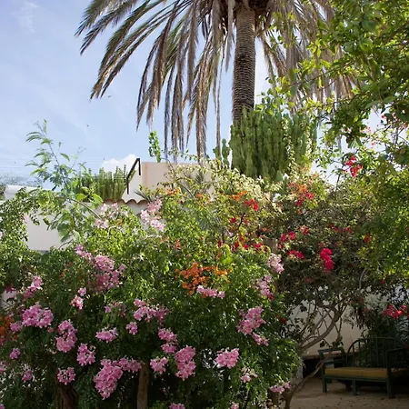 Auberge de jeunesse La Pandilla Ibiza *