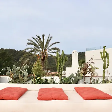 旅馆 La Pandilla Ibiza *