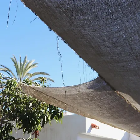 بيت شباب La Pandilla Ibiza